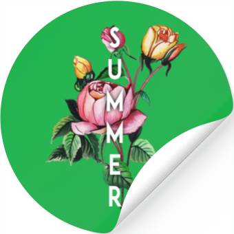 Discover Summer Stickers