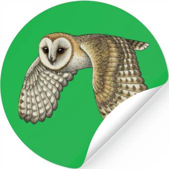 Discover Barn Owl Stickers