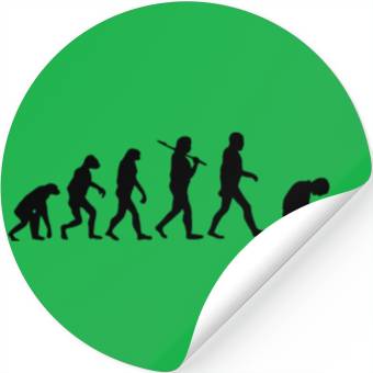 Discover Cat Evolution Stickers
