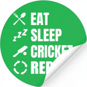 Discover Cricket Player Daily Routine Stickers