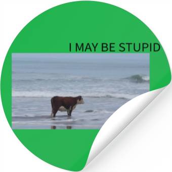 Discover I May Be Stupid Stickers