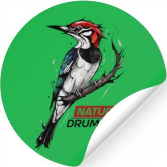 Discover Nature's Drummer: Woodpecker Stickers