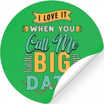 Discover Data Mining I Love It When You Call Me Programmer Stickers