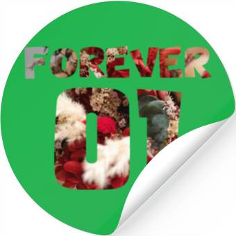 Discover best friends for 3 - FOREVER Stickers