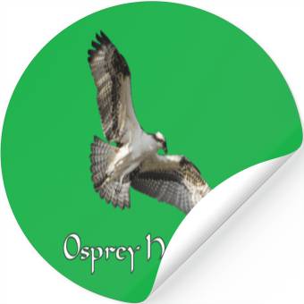 Discover Osprey Hawk Stickers