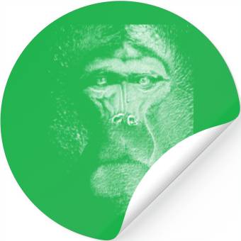 Discover Ape Gorilla Monkey Primate Macaque Chimpanzee Stickers