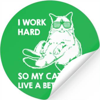Discover I Work Hard So My Cat Stickers