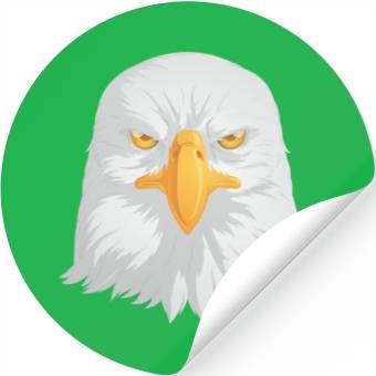 Discover Bald Eagle Stickers