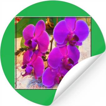 Discover Orchid 3 Stickers