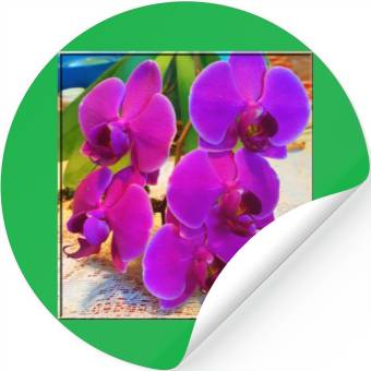 Discover Orchid 2 Stickers