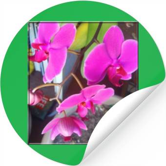 Discover Orchid 1 Stickers