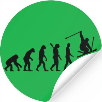Discover Skiing , Snowboard,Evolution Stickers