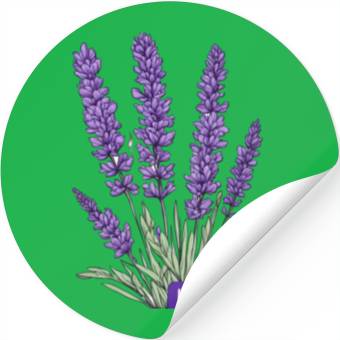 Discover Lavender - Pot Label Stickers