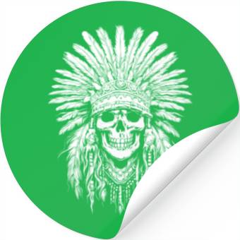 Discover Indigenous Native American Skull Head Stickers