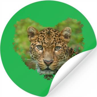 Discover Jaguar s Intensity Heart Stickers