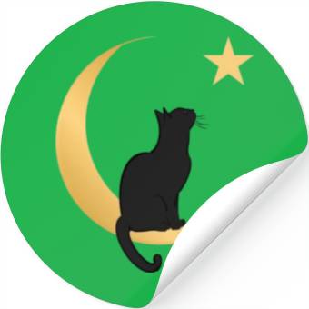 Discover Moon Cat Stickers