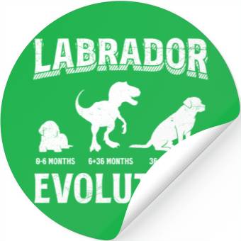Discover Labrador EVOLUTION Labrador Lovers Funny Stickers