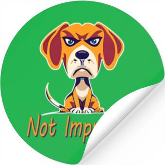 Discover Not Impressed beagle Stickers