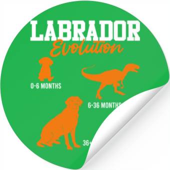 Discover Labrador EVOLUTION Labrador Lover Labrador Stickers