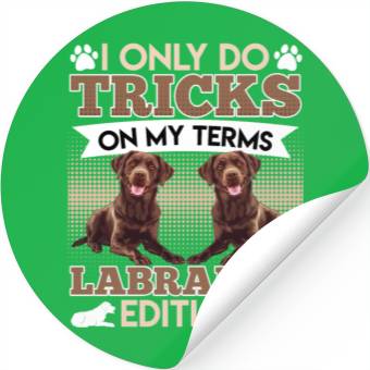 Discover CHocolate Labrador I DO TRICKS ON MY TERMS Stickers