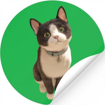 Discover Cute kittens Stickers
