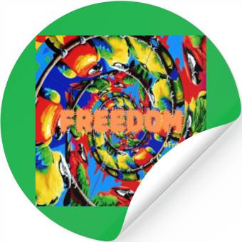 Discover Freedom Stickers