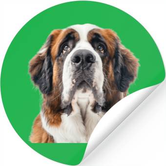 Discover Saint Bernard Stickers