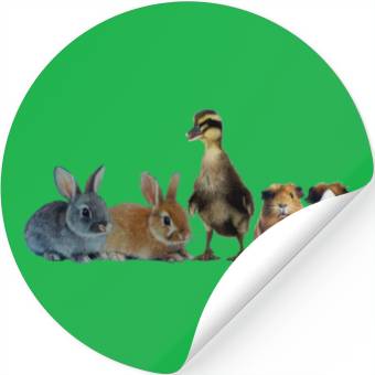 Discover Easter Stickers