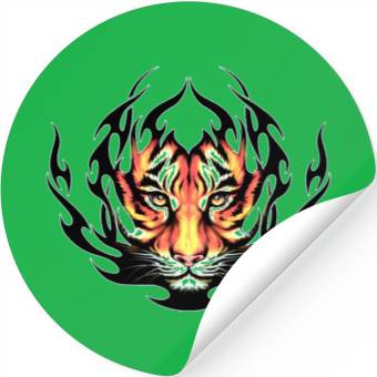 Discover tiger Stickers