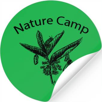 Discover Nature Camp Monarch Stickers