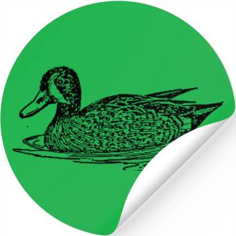 Discover Blue winged teal Stickers