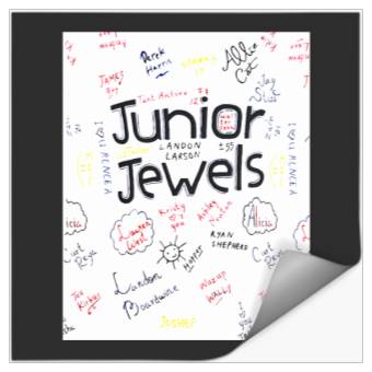 Discover Eras Tour You Belong With Me Stickers