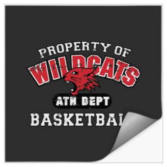 Discover Disney High School Musical The Series Wildcats Distressed Stickers
