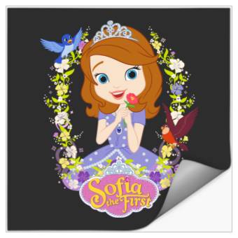 Discover Disney Sofia the First Sofia Flower Border Stickers