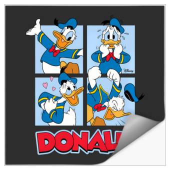 Discover Disney - Donald Duck Grid Stickers