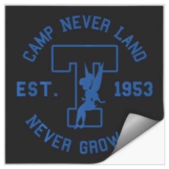 Discover Disney Peter Pan Tinker Bell Camp Never Land Est. 1953 Stickers