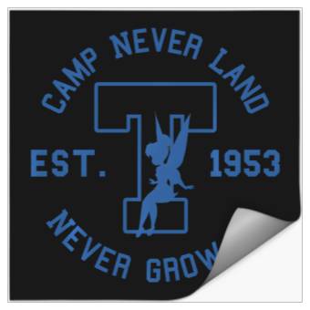 Discover Disney Peter Pan Tinker Bell Camp Never Land Est. 1953 Stickers