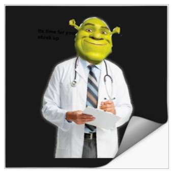Discover Shrek Check up meme  6: Shrek Same Swamp Forever , Shrek Shirt, Disney Fiona Princess , Shrek,Shrek Stickers
