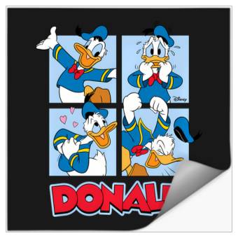 Discover Disney - Donald Duck Grid Stickers