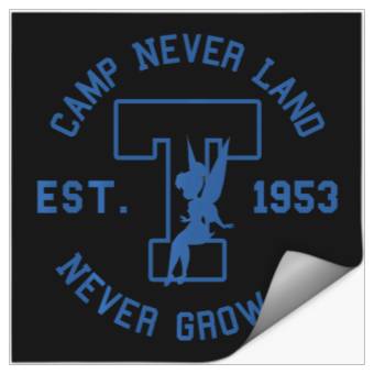 Discover Disney Peter Pan Tinker Bell Camp Never Land Est. 1953 Stickers