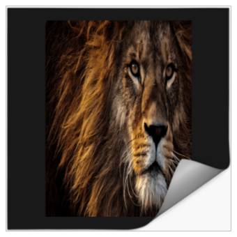 Discover Lion King Disneyss Stickers