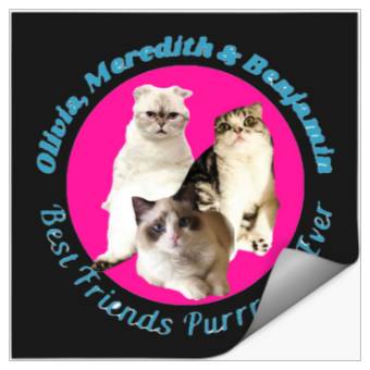 Discover Taylor's cats Stickers