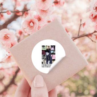 Discover Charles leclerc eras tour Stickers