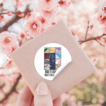 Discover BREY-ERAS TOUR Stickers