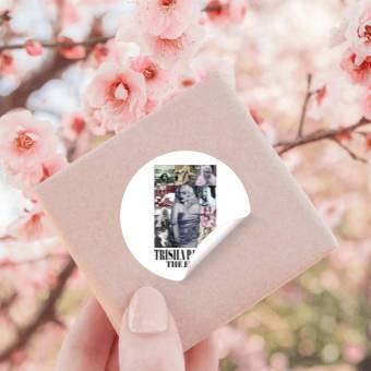 Discover Eras Tour(Trisha_s Version) Stickers