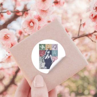 Discover eras tour Stickers