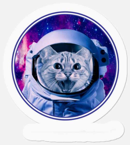 Space Cat Astronaut In Galaxy Funny Stickers