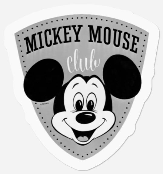 Vintage Mickey Mouse Club | Disney Family Vacation Stickers