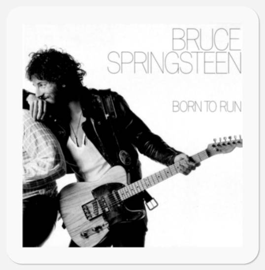 Bruce Springsteen Stickers