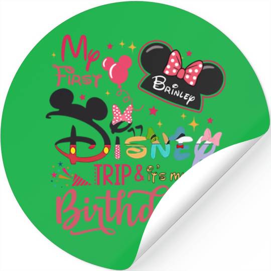 Custom Family Disney Birthday Trip, My First Disney Trip Sticker, Disney Trip 2022 Stickers